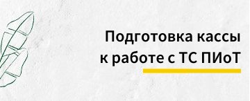 Подготовка кассы к работе с ТС ПИоТ