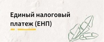 Единый налоговый платеж (ЕНП) 