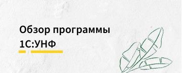 Обзор программы 1С:Управление нашей фирмой (1С:УНФ)