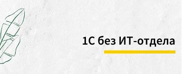 1С без ИТ-отдела — как бизнесу не потерять стабильность в период оптимизации?