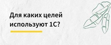 Для каких целей используют 1С?