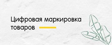 Цифровая маркировка товаров (июнь 2020)