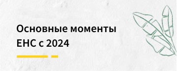 Методика учета расчетов на едином налоговом счете (ЕНС) с 2024 года