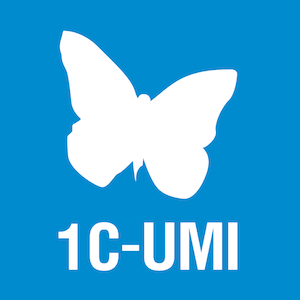Купить 1C-UMI Конструктор сайтов в Екатеринбурге - Техно-линк.