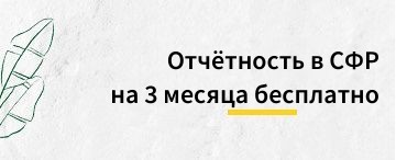 Отчетность в СФР на 3 месяца бесплатно (май 2026)