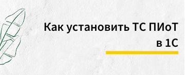 Как установить ТС ПИоТ в 1С