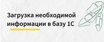 Загрузка справочной информации в базу 1С