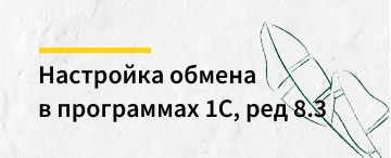 Настройка обмена в 1С 8.3 (июнь 2020)