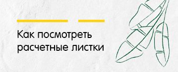 Где в программе 1С:Зарплата и управление персоналом 3.1 посмотреть расчетные листки