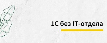 1С без IT-отдела — как бизнесу не потерять стабильность в период оптимизации?