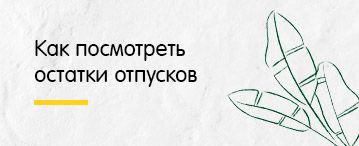 Как посмотреть остатки отпусков в программе 1С:Зарплата и управление персоналом 3.1
