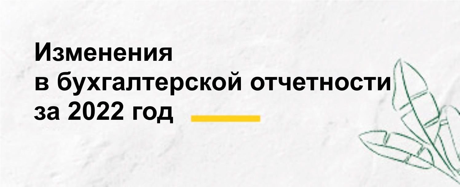 Изменения в бухгалтерской отчетности за 2022 год