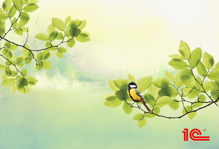 Итоги весеннего Единого семинара 1С Итоги весеннего Единого семинара 1С