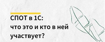 Система подтверждения ожидания товаров (СПОТ) в 1С: что это и кто в ней участвует
