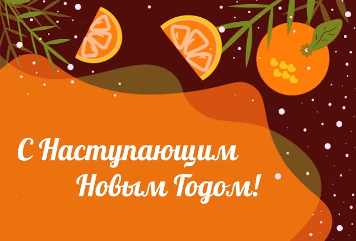 С наступающим Новым 2026 годом! С наступающим Новым 2026 годом!
